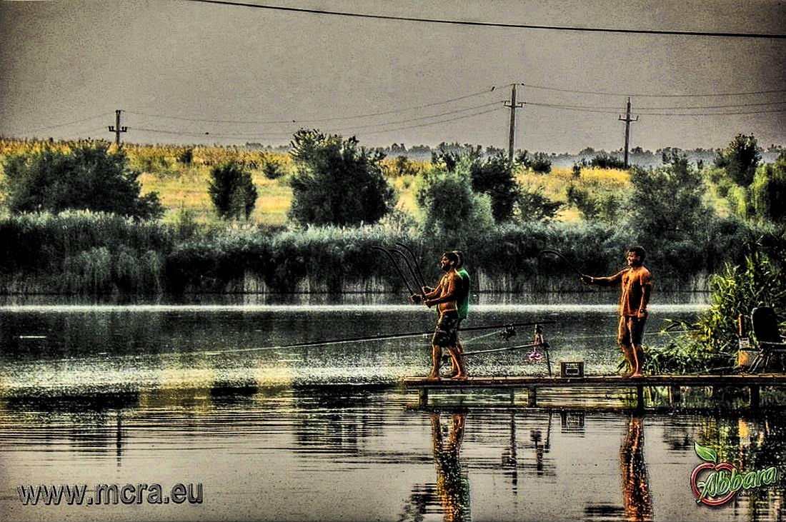 MeetCarp Romanian Awards 2013 - 1000003hdrmode2-2.jpg